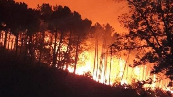 Vasto rogo doloso nel Pisano: centinaia di sfollati, “lo scenario è apocalittico”