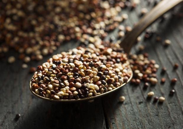 Arriva quipu, la quinoa made in Italy